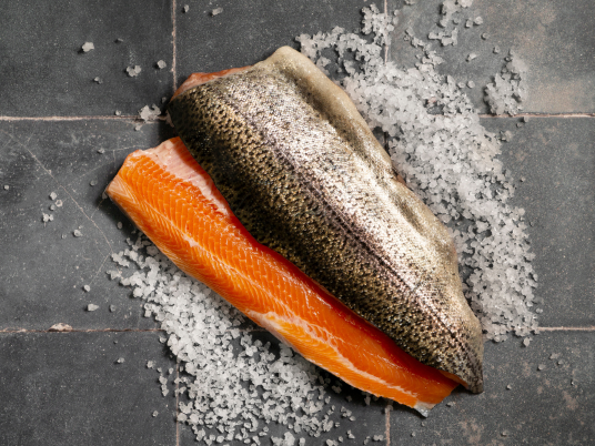 Fresh Salmon in Jakarta Supplier