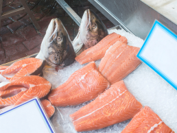 Beragam Jenis Produk Salmon Terbaik di Pasaran
