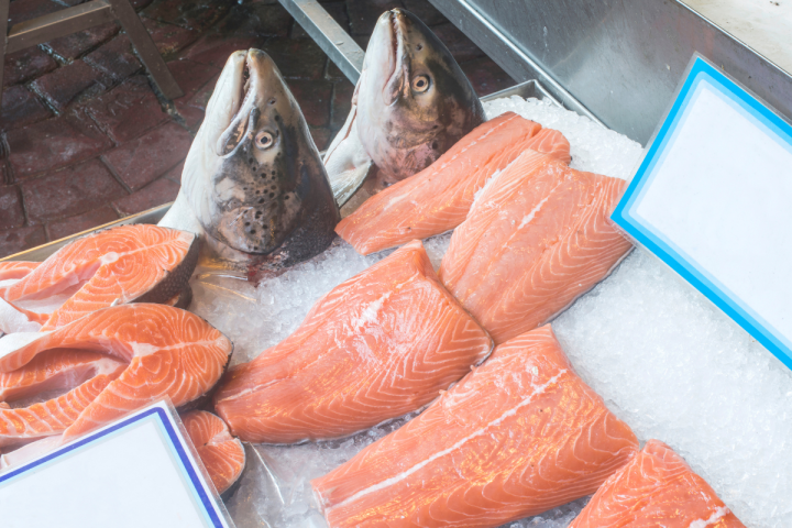 Beragam Jenis Produk Salmon Terbaik di Pasaran