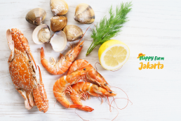 Jakarta Seafood Supplier Seafood Terpercaya