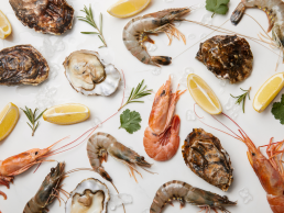 Jakarta Seafood Supplier Seafood Jakarta