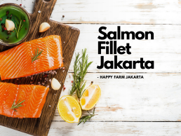 Salmon Fillet Jakarta