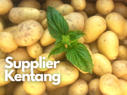 Supplier Kentang Jakarta