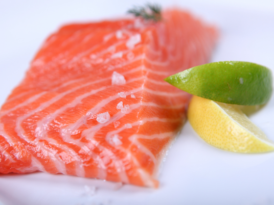 Jakarta Salmon Distributor