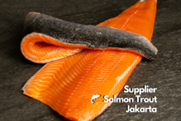 Supplier Salmon Trout Jakarta