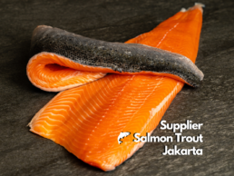 Supplier Salmon Trout Jakarta