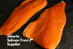 Jakarta Salmon Trout Supplier