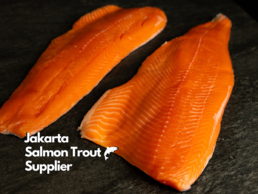 Jakarta Salmon Trout Supplier