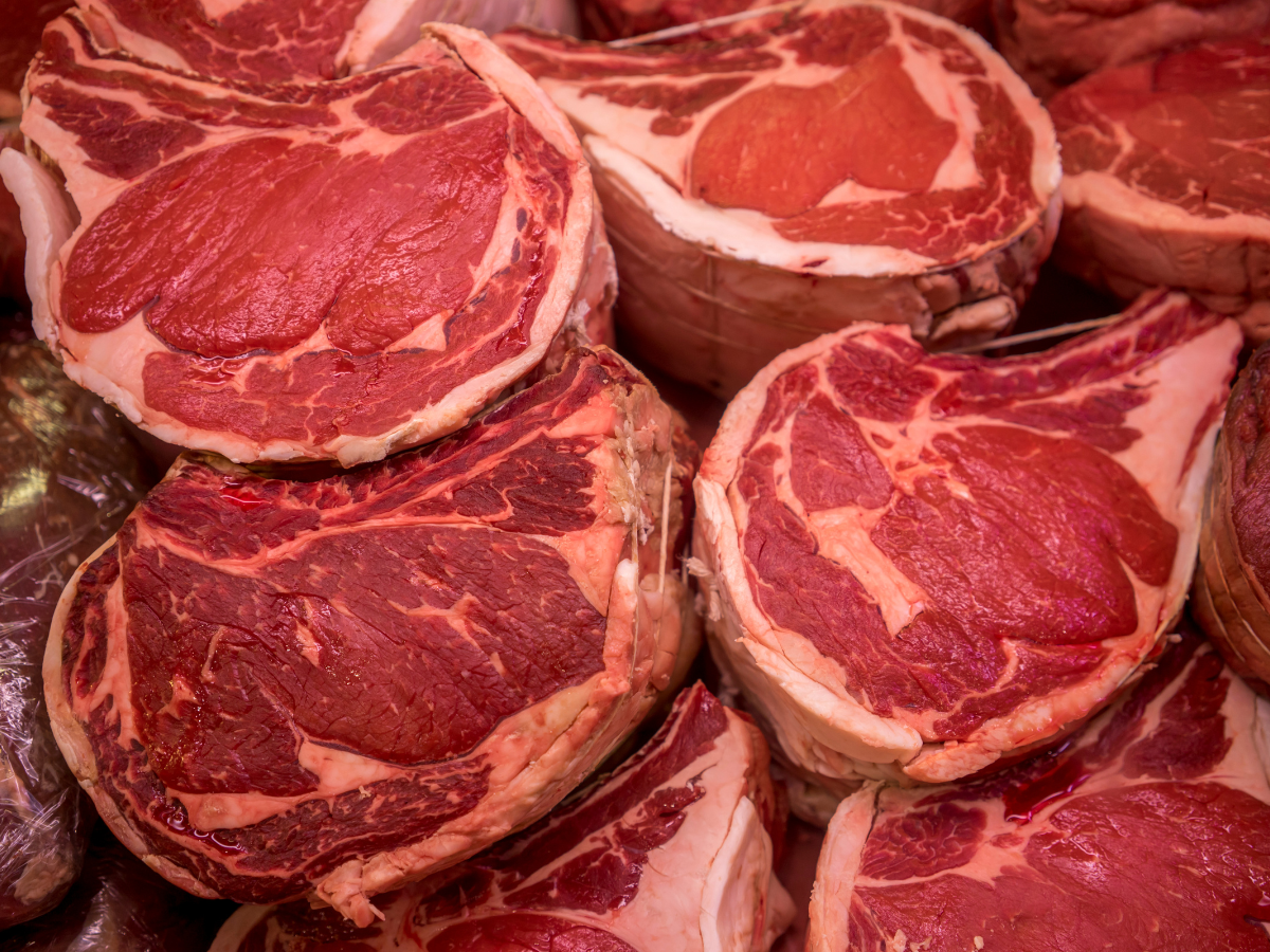 Beef Distributor Jakarta