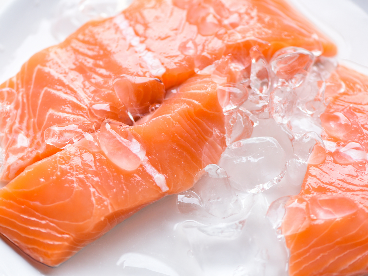 Frozen Salmon Supplier Jakarta