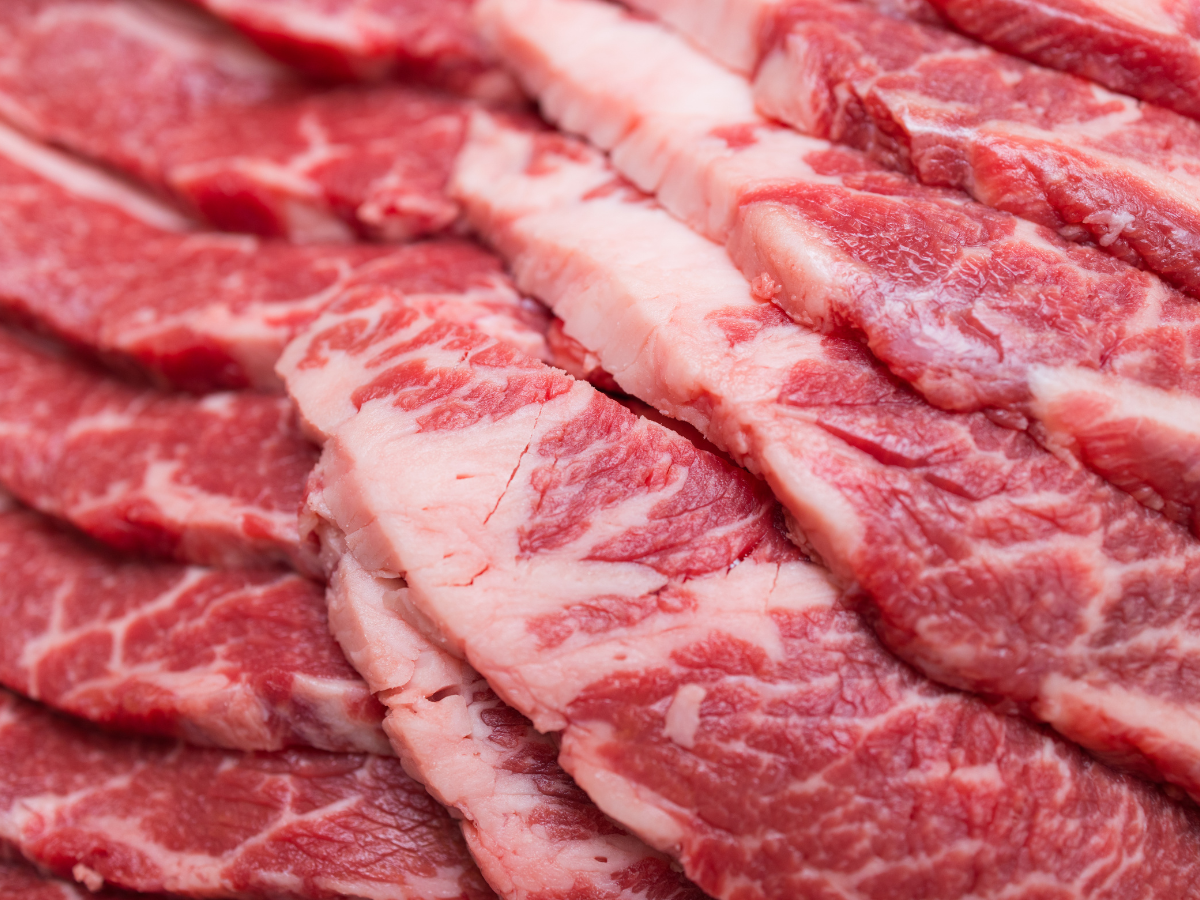 Supplier Meat Fresh