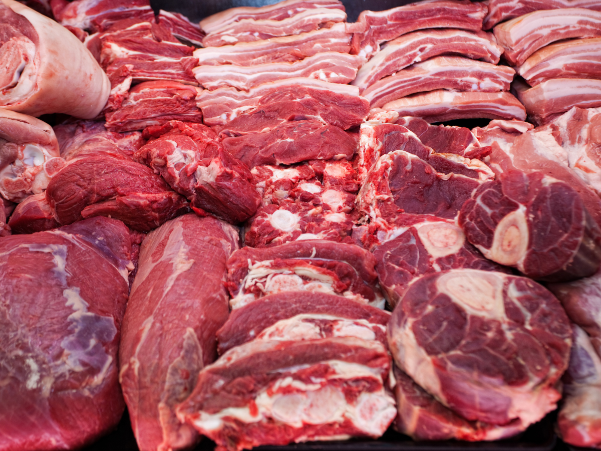 Supplier Meat Fresh