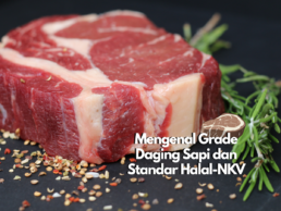 Grade Daging Sapi